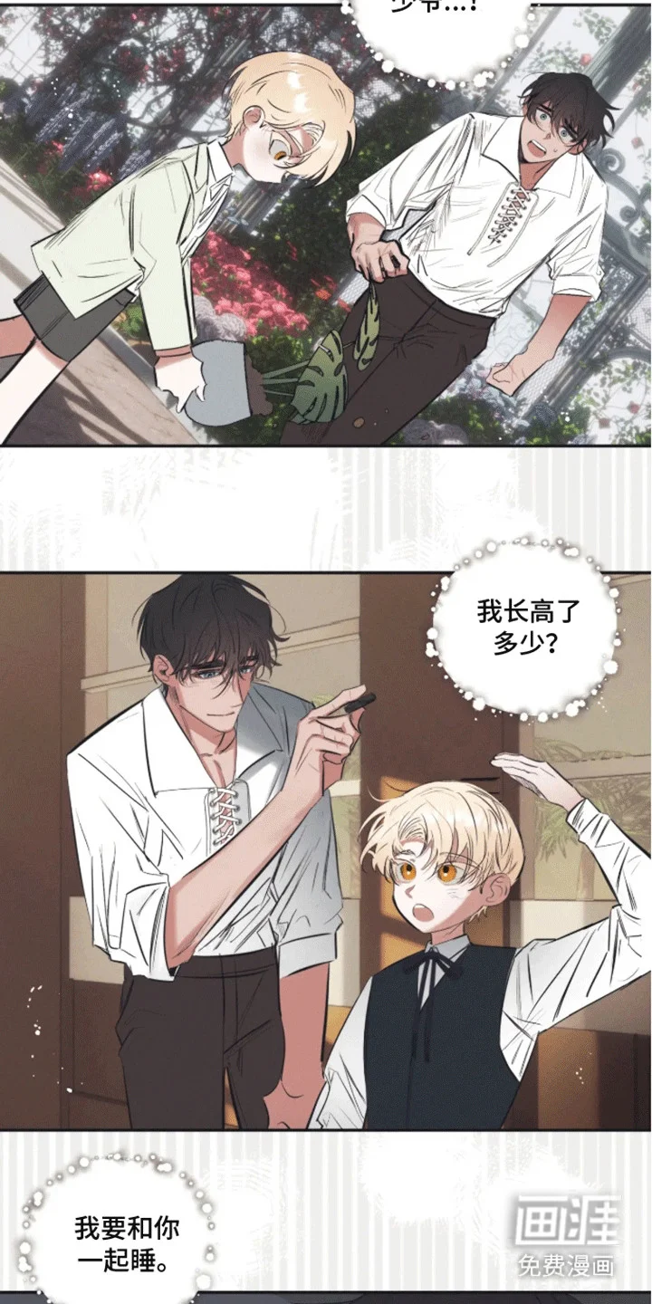 坏苹果禁止通行 第1章：预告 第16页