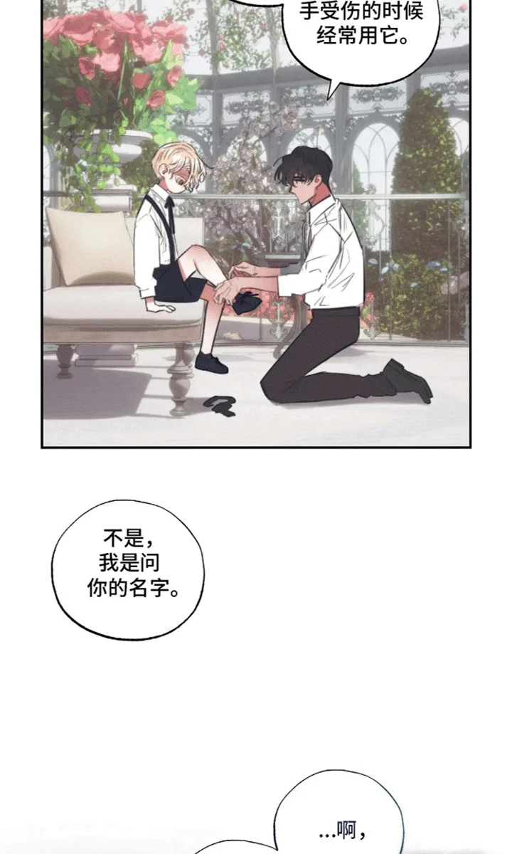 坏苹果禁止通行 第2章：园丁 第21页