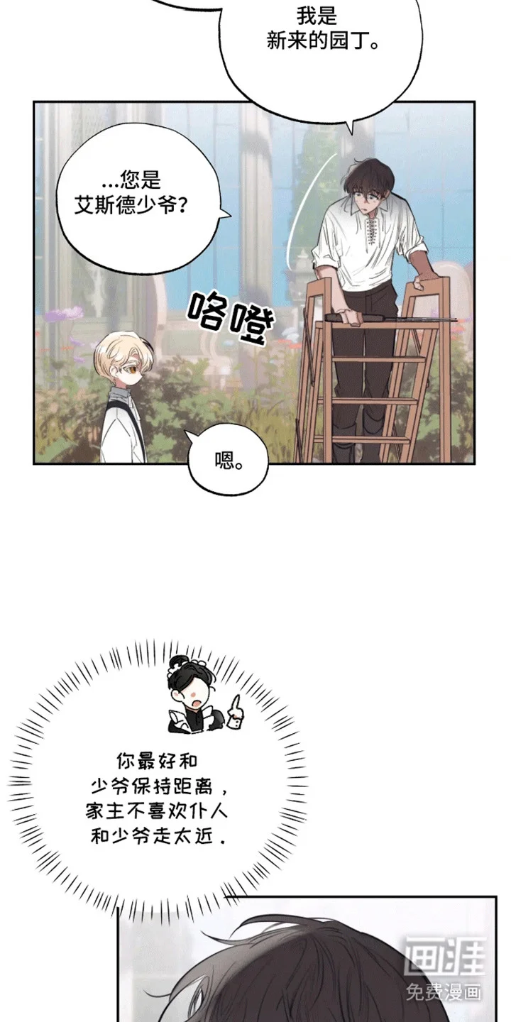 坏苹果禁止通行 第2章：园丁 第14页
