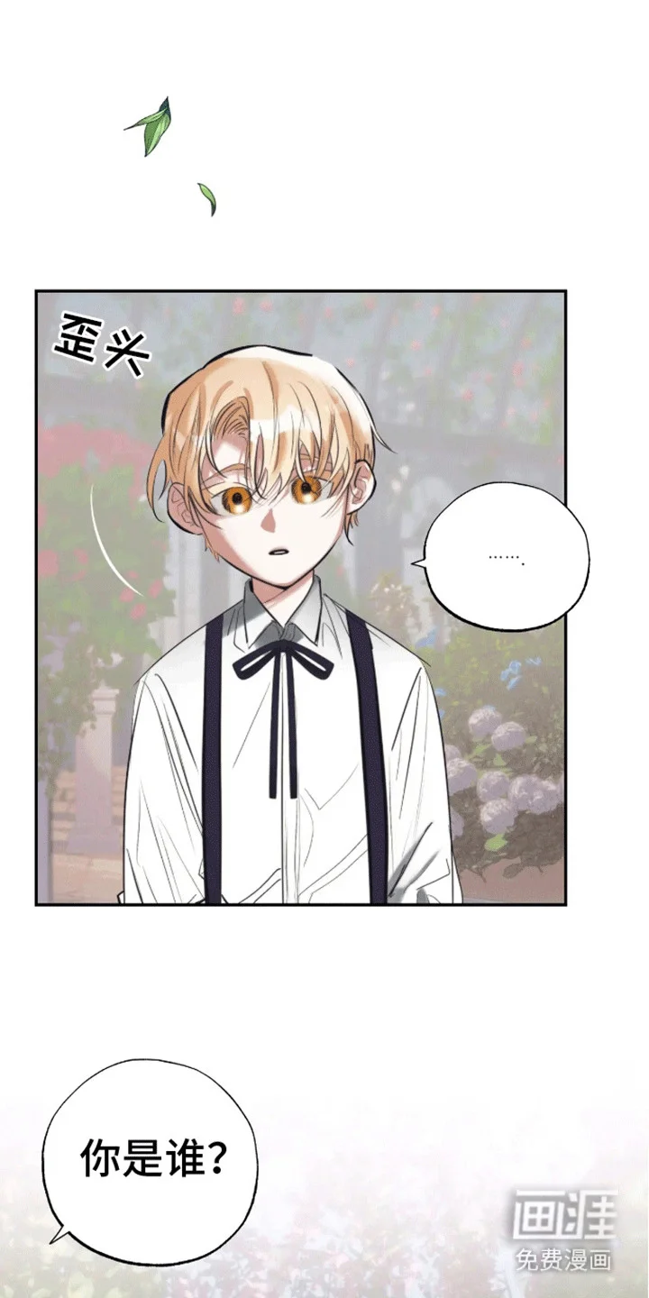 坏苹果禁止通行 第2章：园丁 第12页