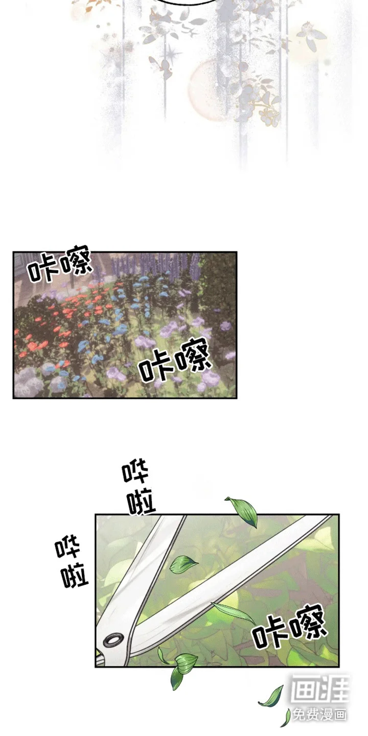 坏苹果禁止通行 第2章：园丁 第11页