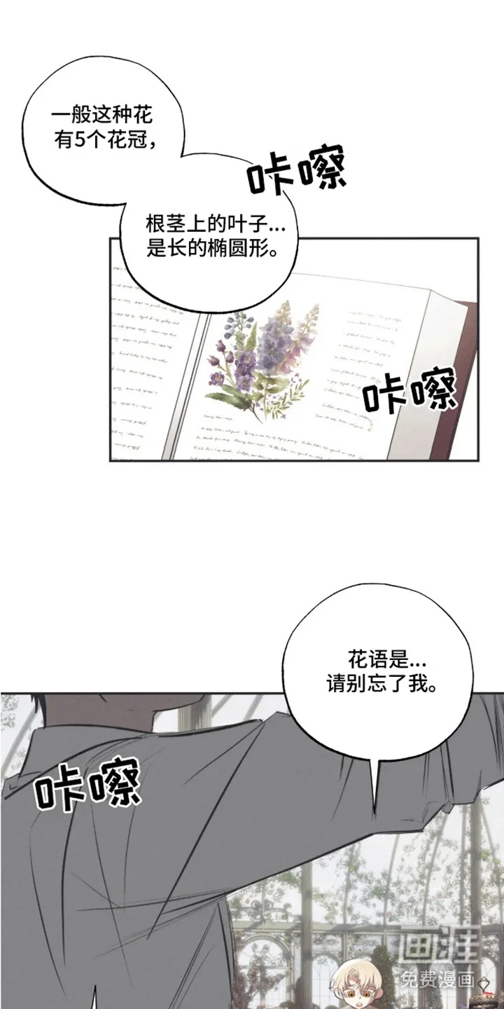 坏苹果禁止通行 第3章：生日礼物 第10页
