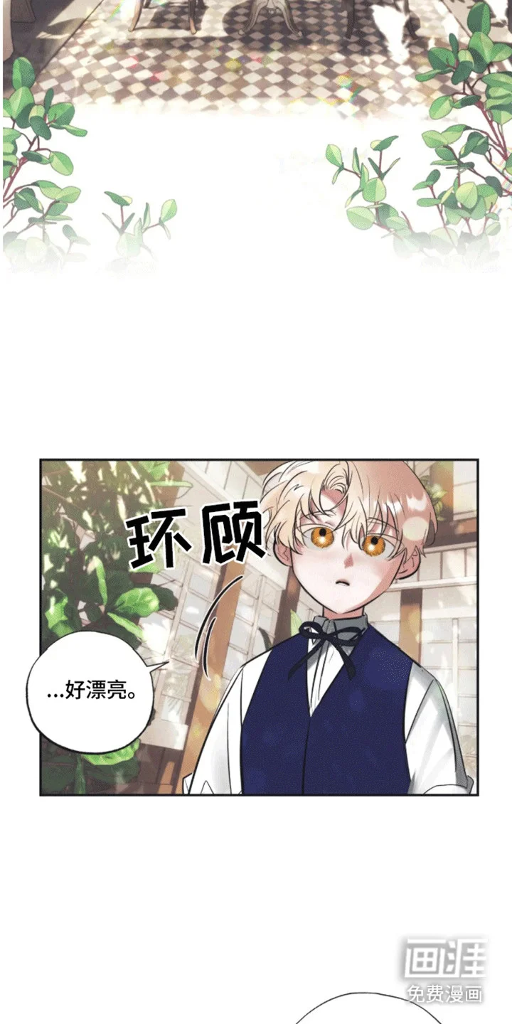 坏苹果禁止通行 第3章：生日礼物 第17页