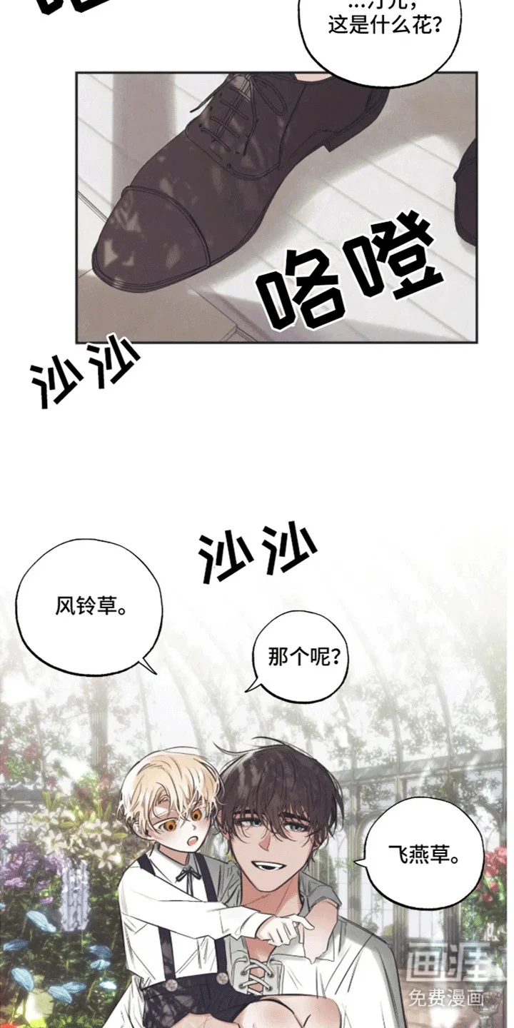 坏苹果禁止通行 第3章：生日礼物 第6页