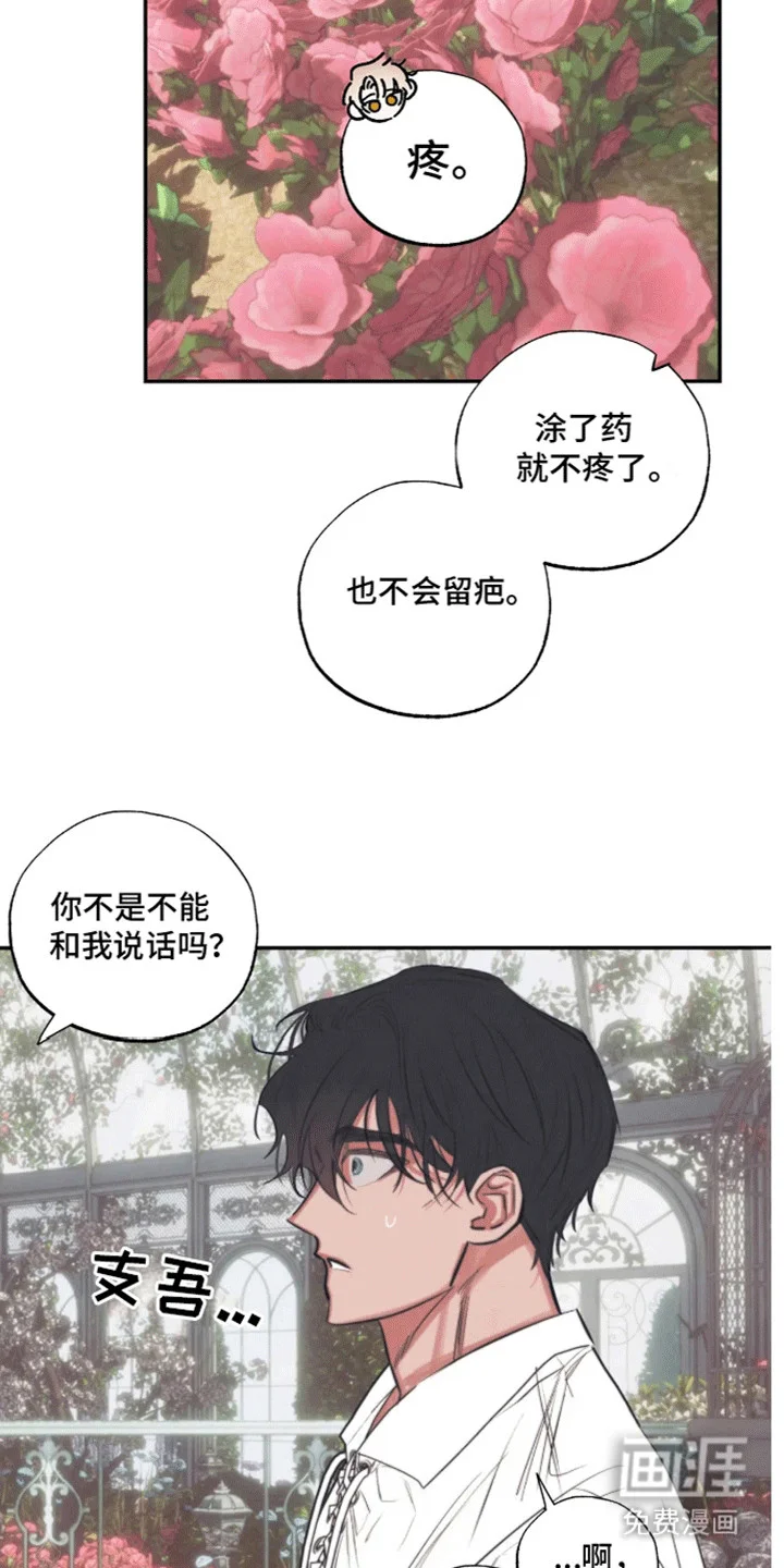 坏苹果禁止通行 第3章：生日礼物 第2页