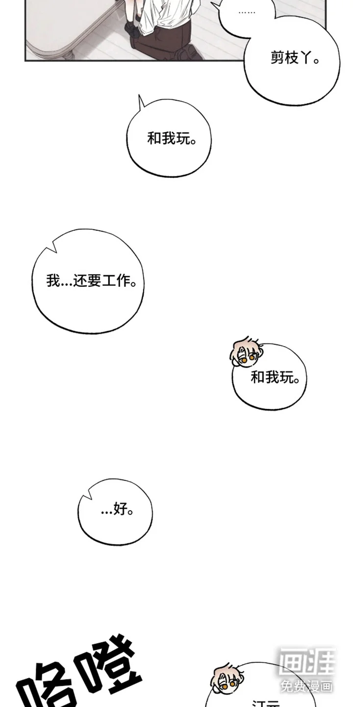 坏苹果禁止通行 第3章：生日礼物 第5页