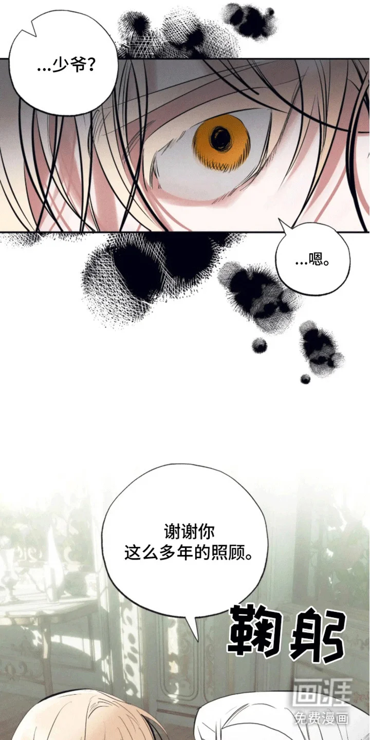 坏苹果禁止通行 第4章：他要离开 第11页