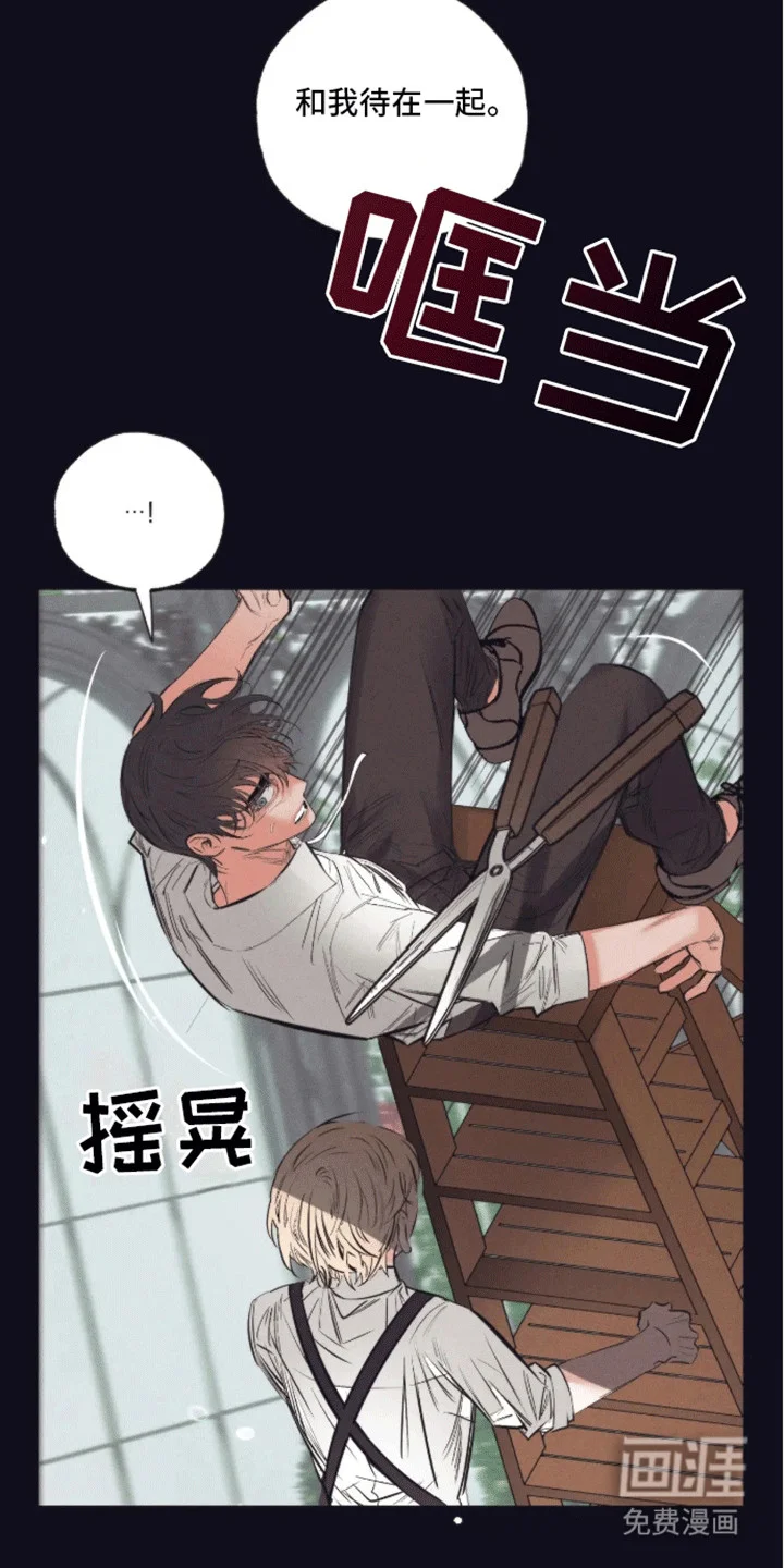 坏苹果禁止通行 第5章：受伤 第19页