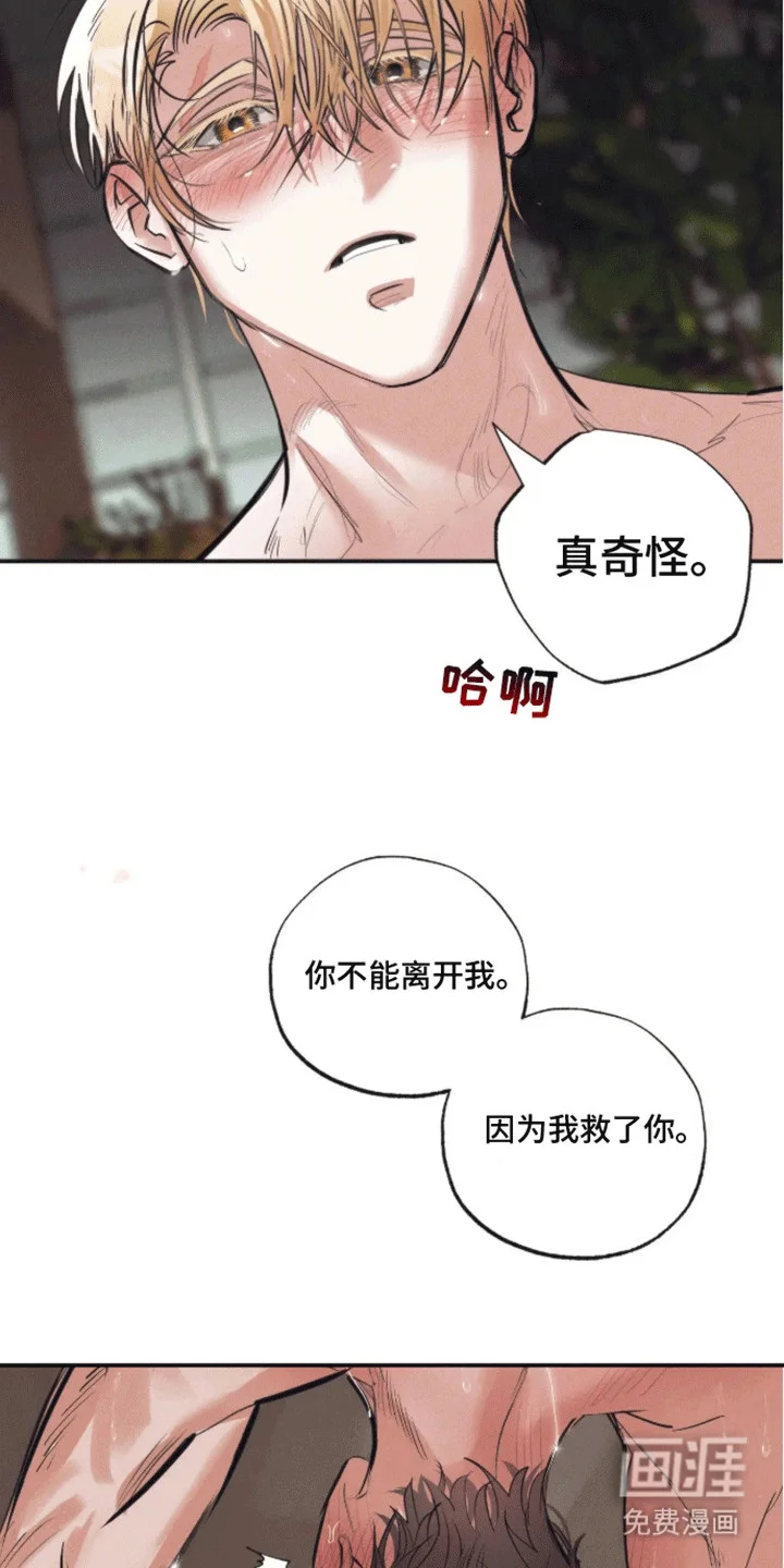 坏苹果禁止通行 第5章：受伤 第12页