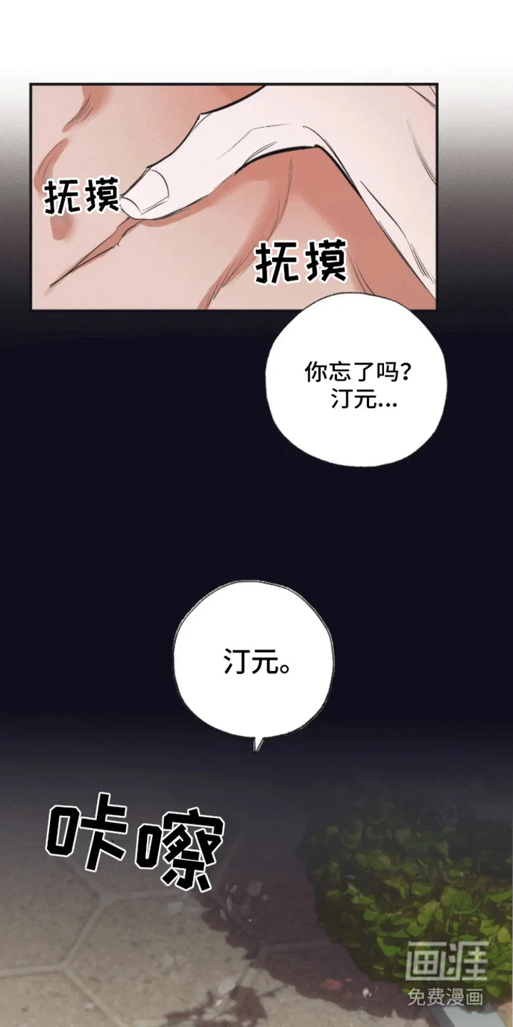 坏苹果禁止通行 第5章：受伤 第14页