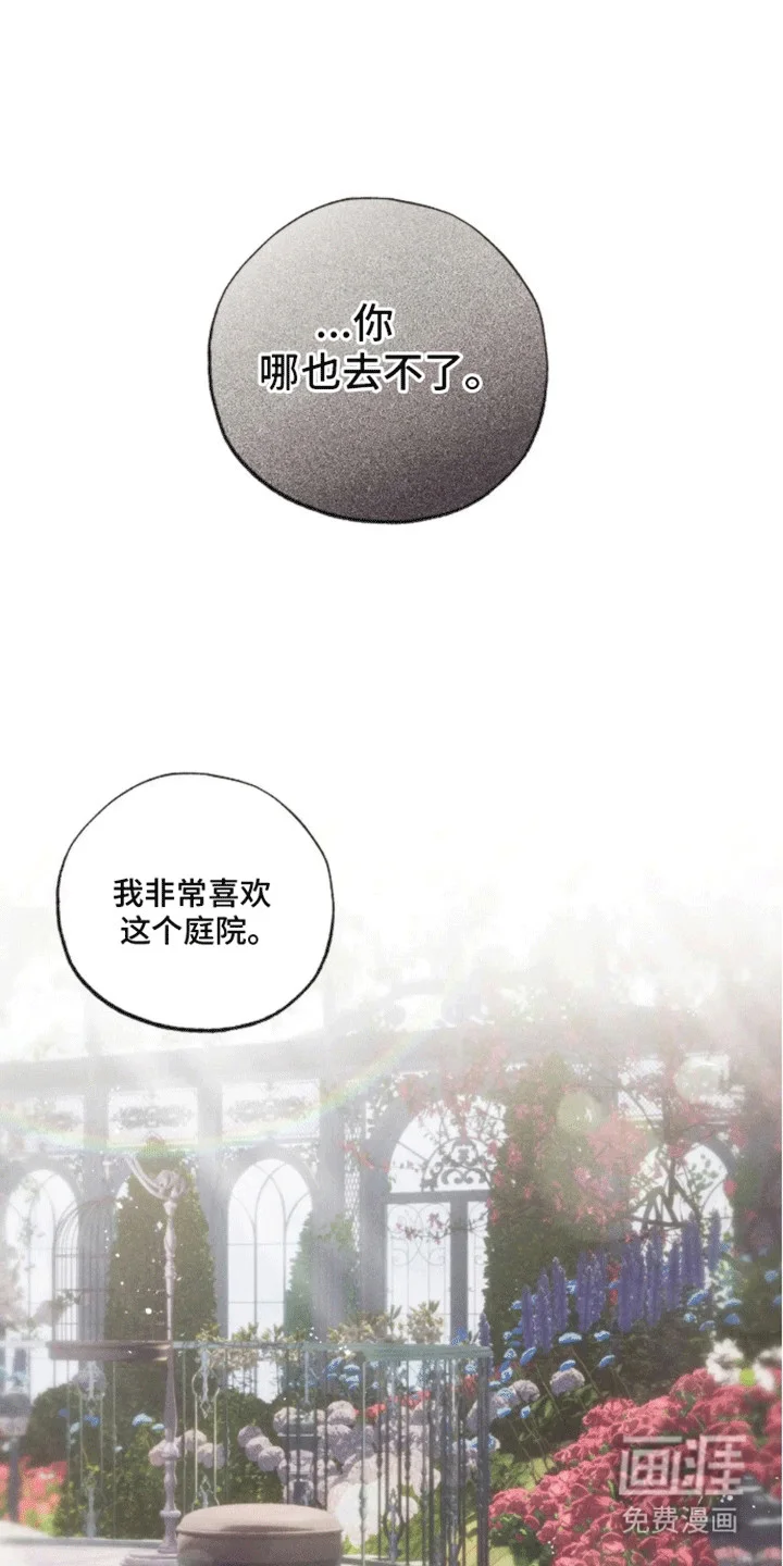 坏苹果禁止通行 第5章：受伤 第7页