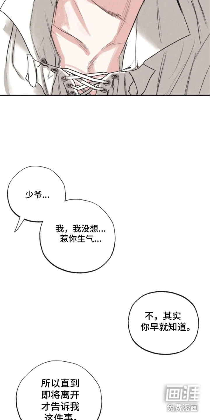 坏苹果禁止通行 第5章：受伤 第5页