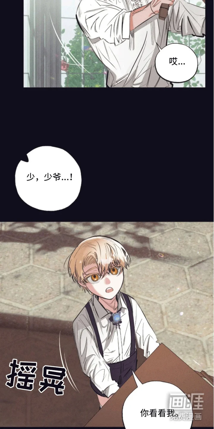 坏苹果禁止通行 第5章：受伤 第17页