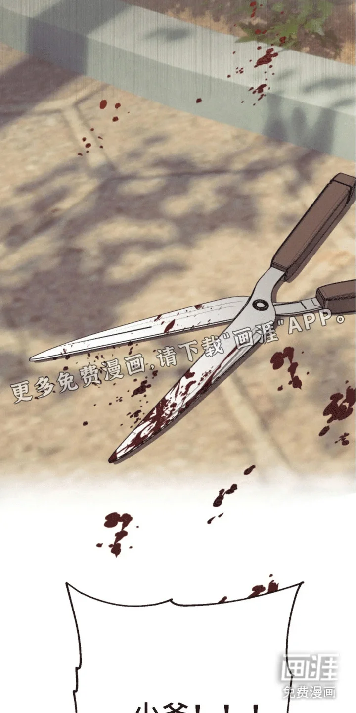 坏苹果禁止通行 第5章：受伤 第21页