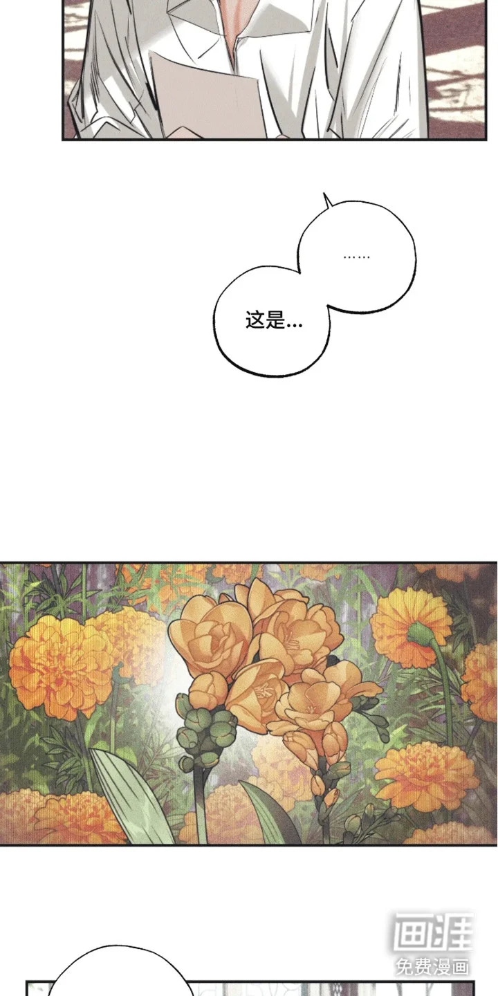 坏苹果禁止通行 第8章：逃跑 第13页