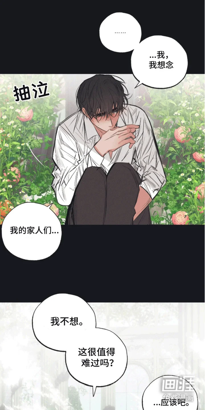 坏苹果禁止通行 第9章：妥协 第12页