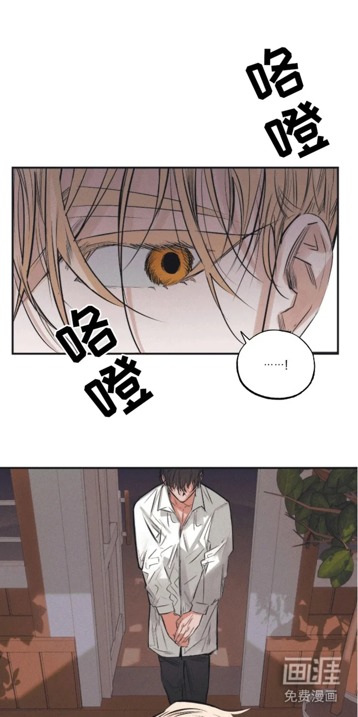 坏苹果禁止通行 第9章：妥协 第1页