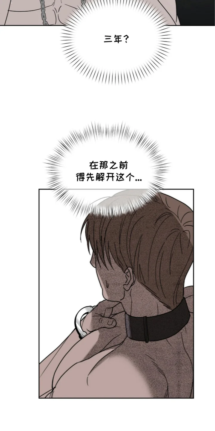 复仇禁室 第5章：悲惨 第12页