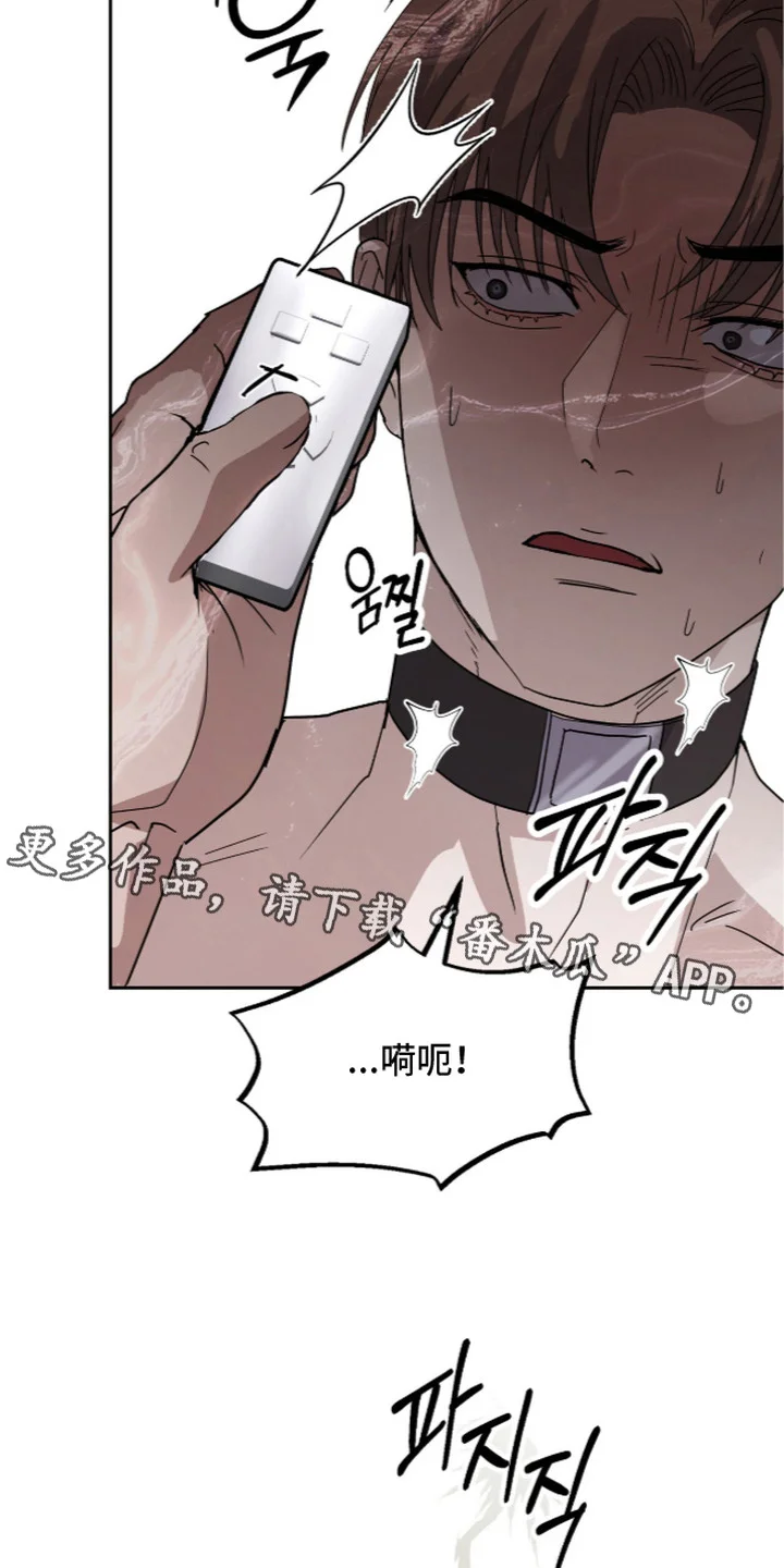复仇禁室 第6章：曾经拒绝过 第6页