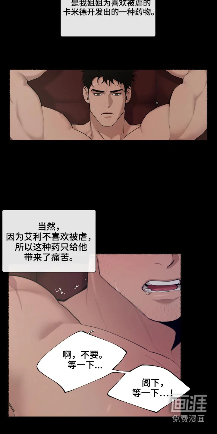 大公子的玩物 第63章：【番外】你醒了 第13页