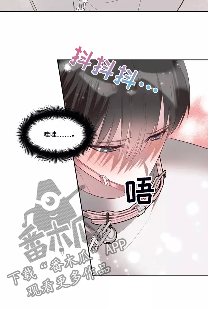 奇妙的偶遇 第70章：知道原因 第16页