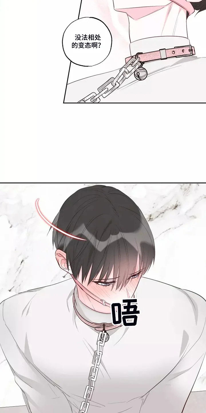 奇妙的偶遇 第70章：知道原因 第15页