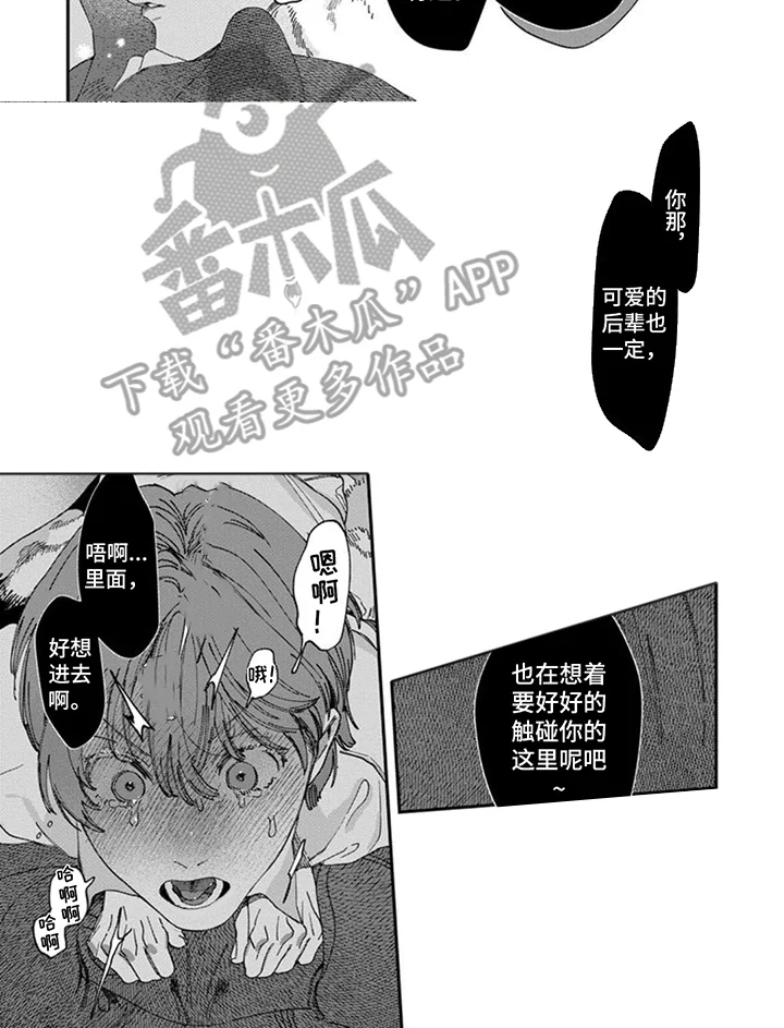 奇妙的跟踪者 第9章：大骗子 第6页