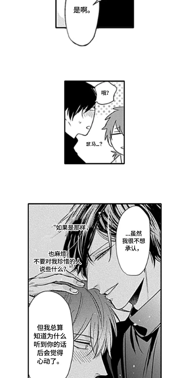 如何包含 第15章：顾虑 第11页