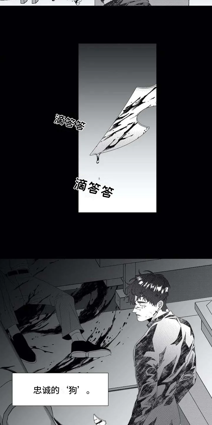 导演你在哪 第1章：忠诚的狗 第9页