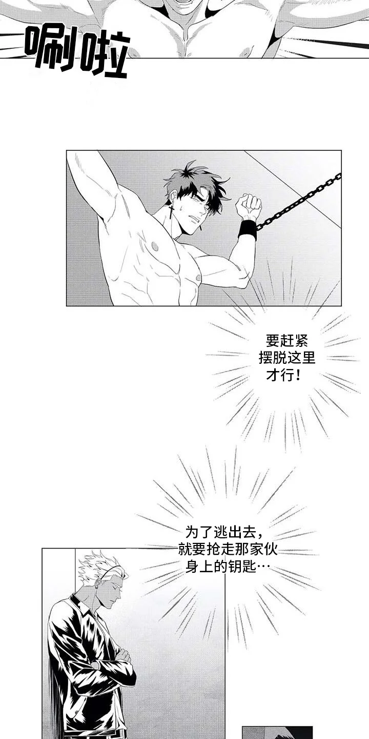 导演你在哪 第18章：消失了 第13页