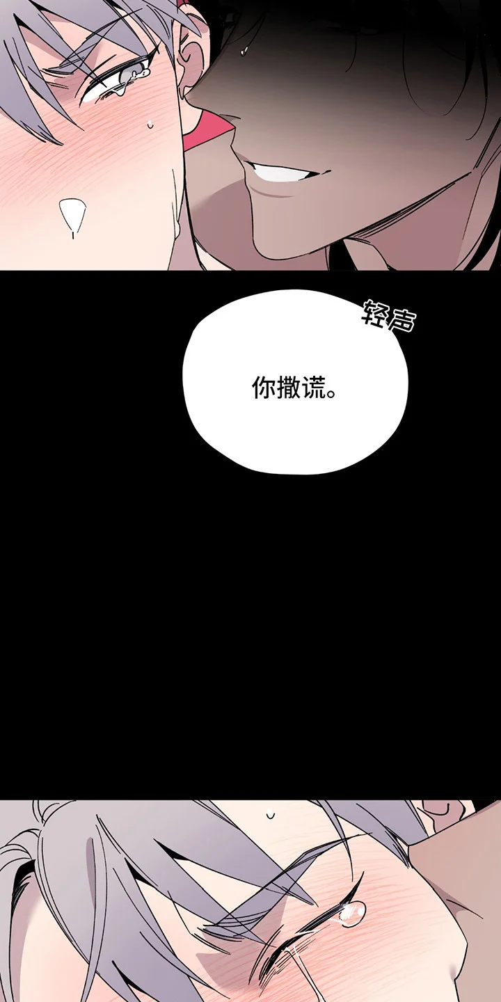 小卡风波 第1章：偶像塌房 第3页