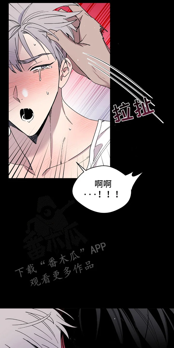 小卡风波 第1章：偶像塌房 第2页