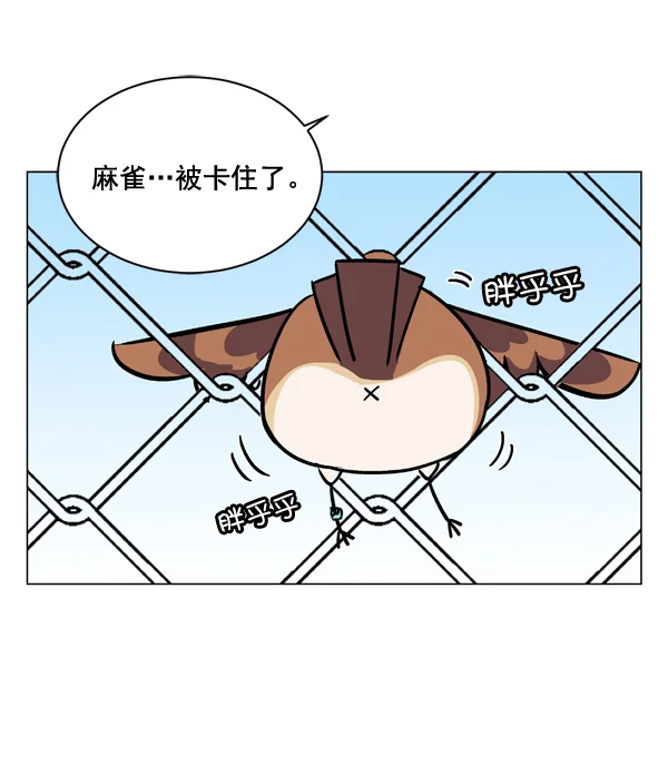 小麻雀求婚记 第1话 第67页