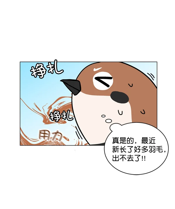 小麻雀求婚记 第1话 第65页