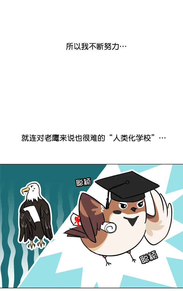 小麻雀求婚记 第1话 第43页