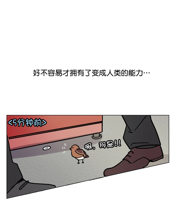 小麻雀求婚记 第1话 第30页