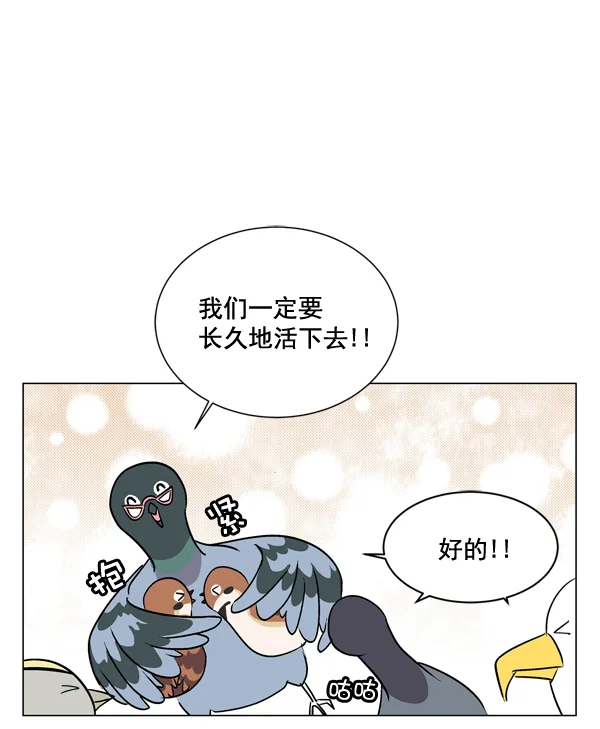 小麻雀求婚记 第1话 第56页