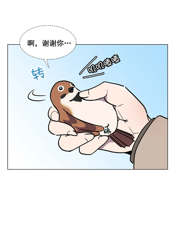 小麻雀求婚记 第1话 第69页