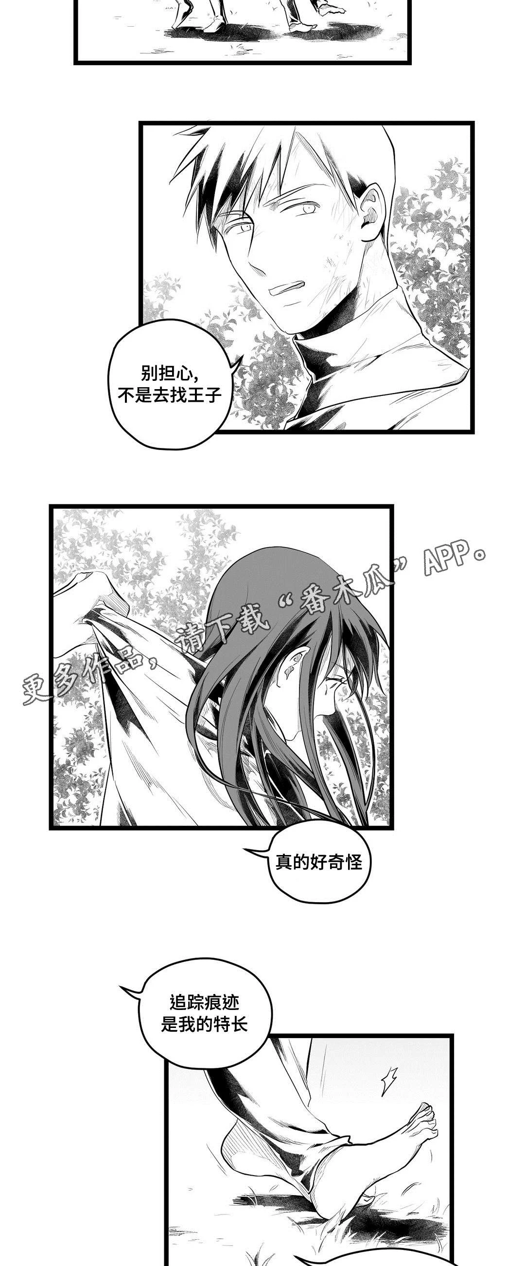 巫师与王子 第87章：抓住 第2页