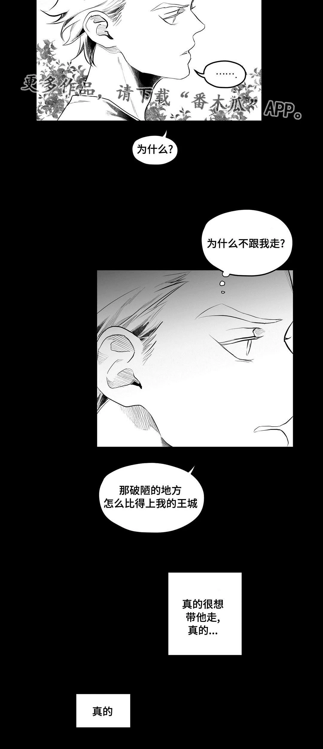 巫师与王子 第88章：带他走 第25页