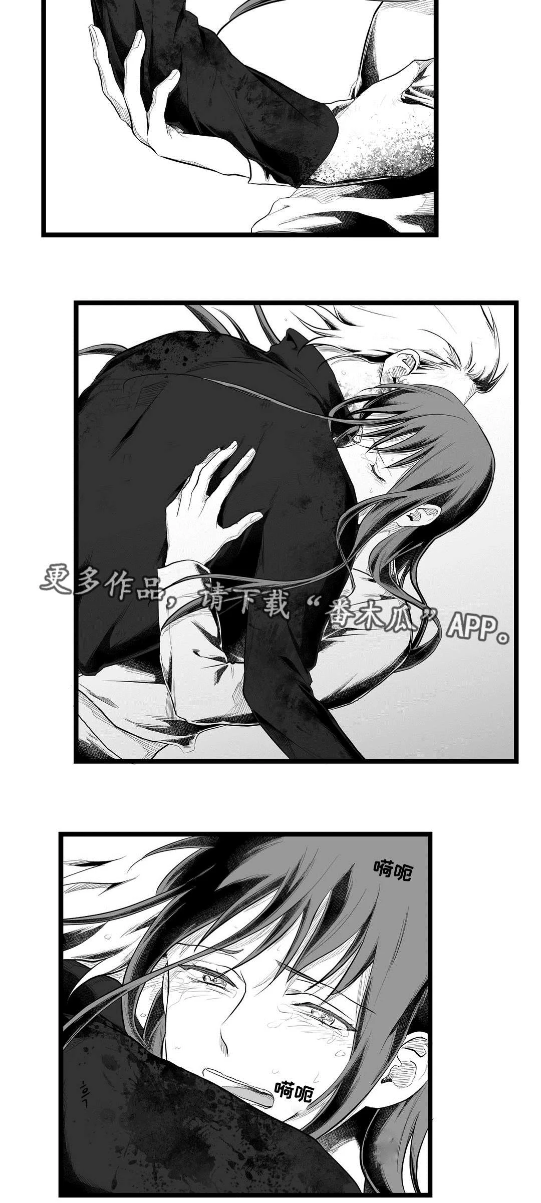 巫师与王子 第88章：带他走 第3页