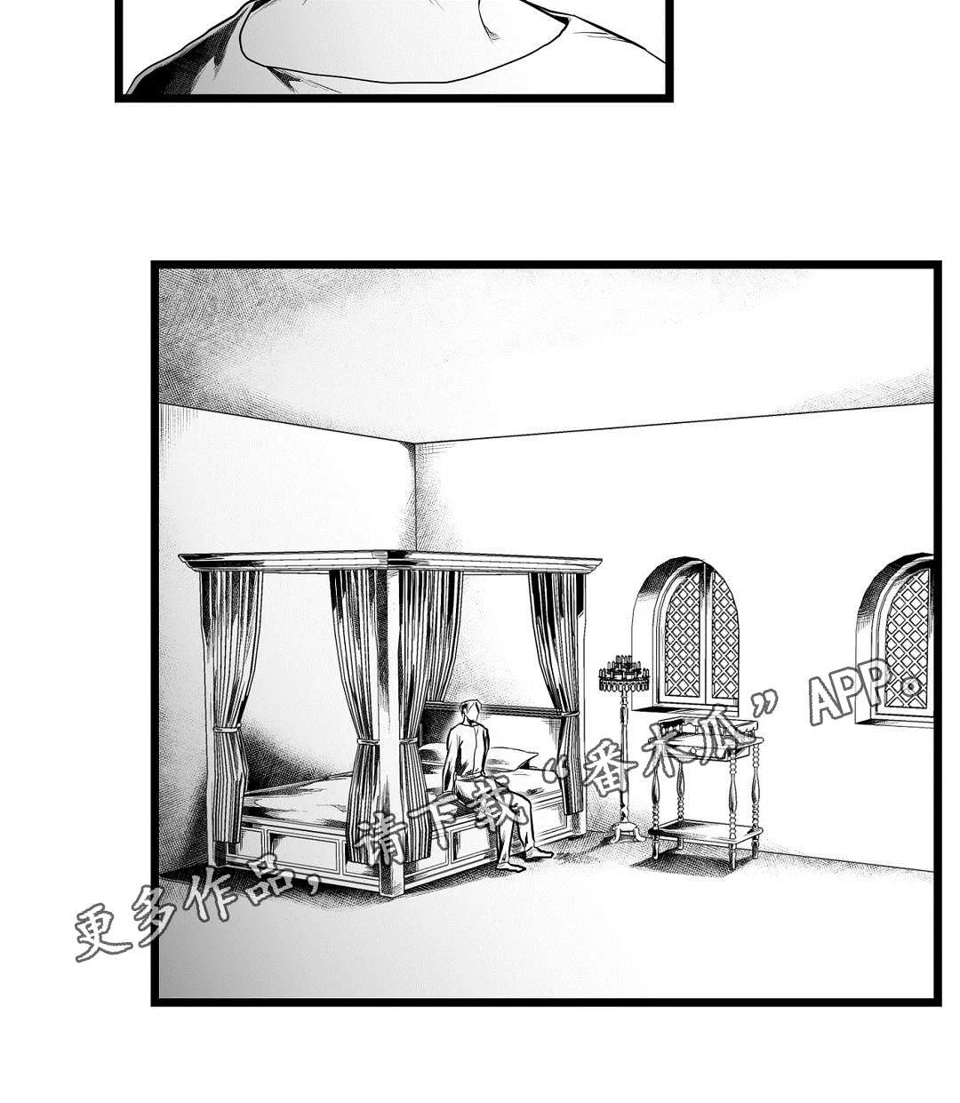 巫师与王子 第88章：带他走 第13页