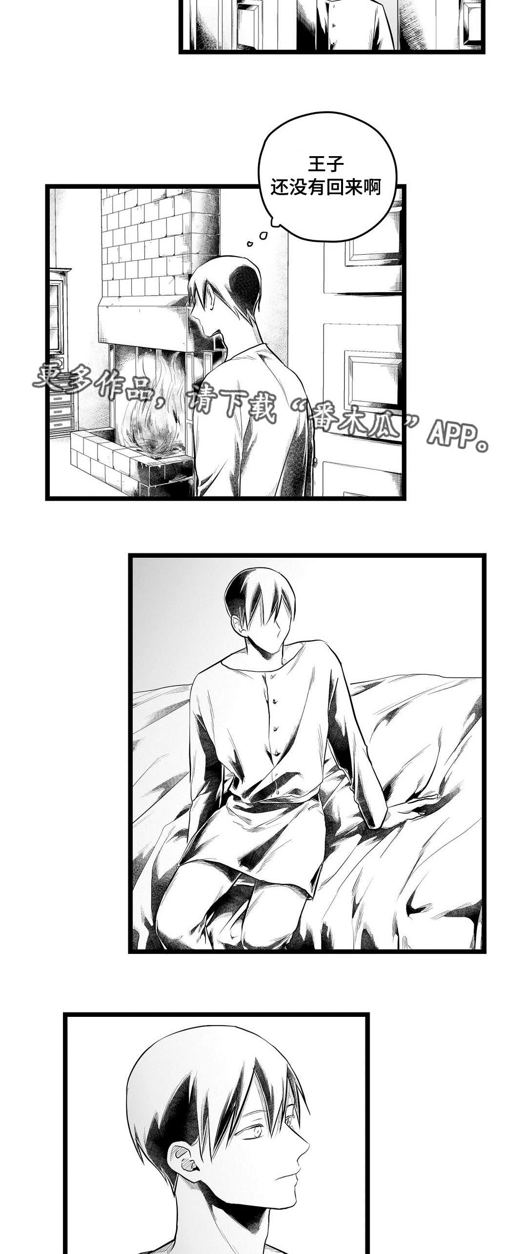 巫师与王子 第88章：带他走 第12页