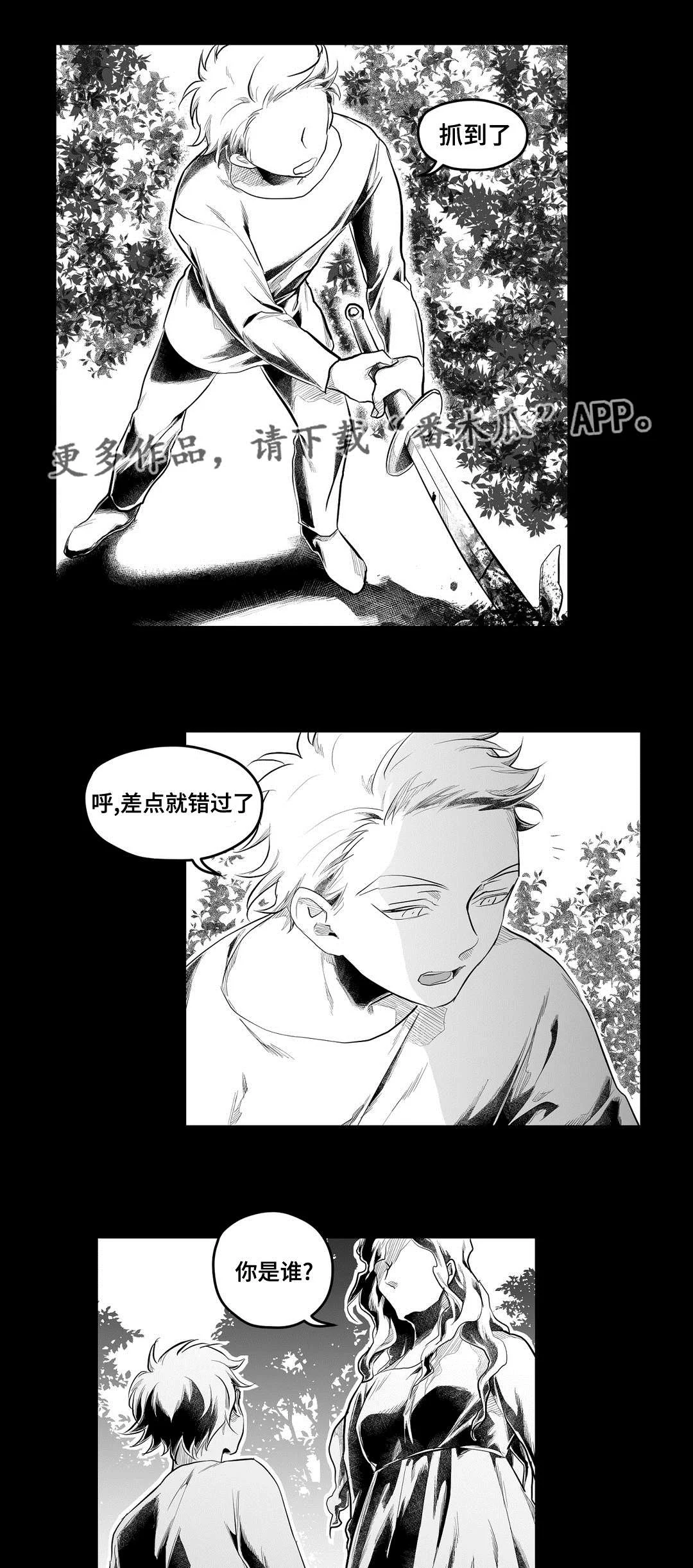 巫师与王子 第88章：带他走 第21页