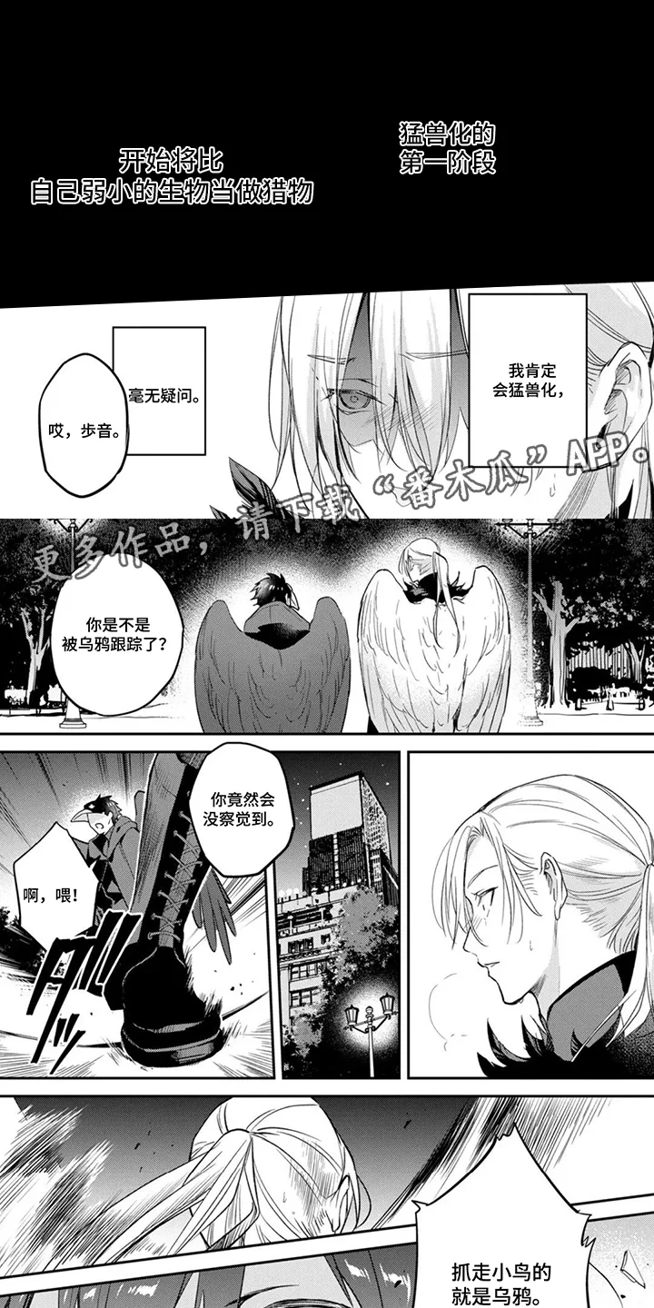 幸福的蓝鸟 第11章：毫无疑问 第7页