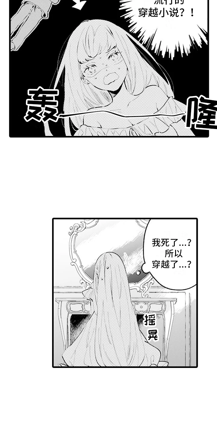 异世界公主 第1章：穿越 第13页