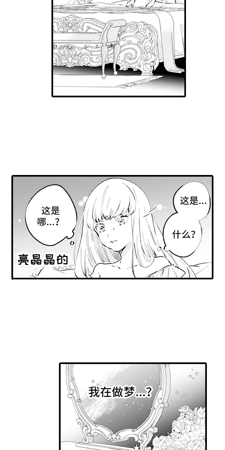 异世界公主 第1章：穿越 第7页