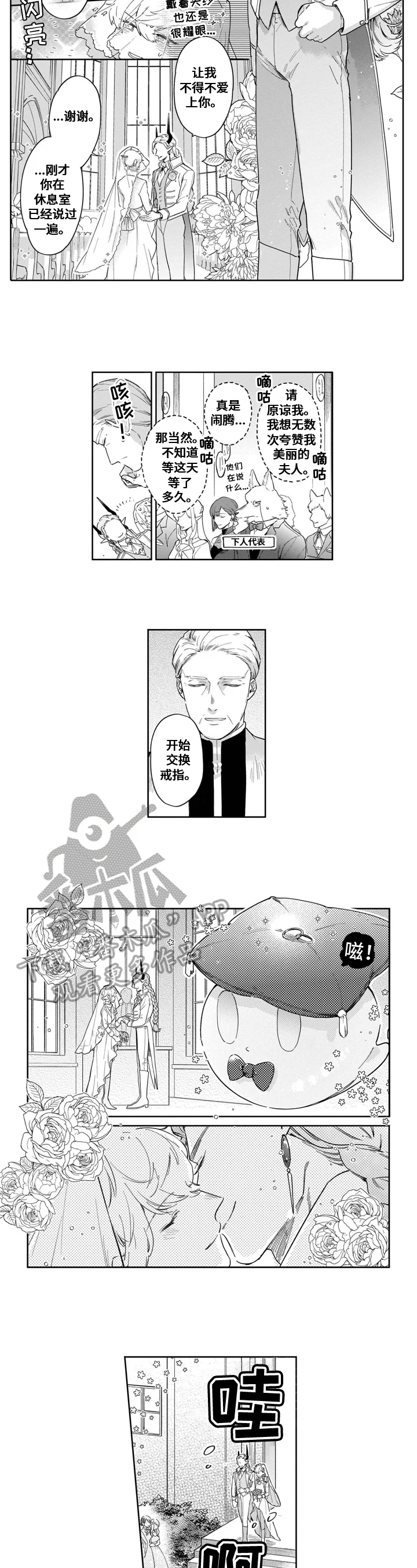 异界命运交织 第19章：结婚 第6页