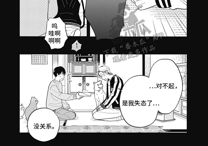 心间糖霜 第1章：失态 第7页