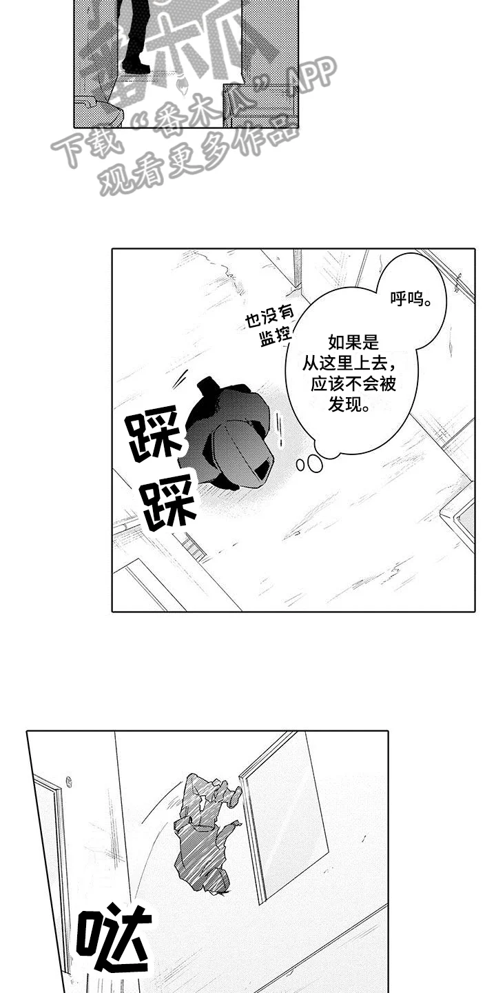 忍者不能忍 第12章：了解 第15页